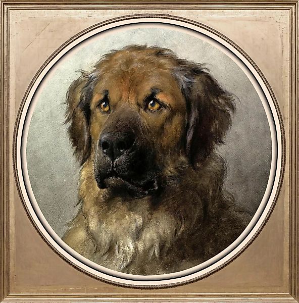 queence Acrylglasbild "Jagdhund" günstig online kaufen