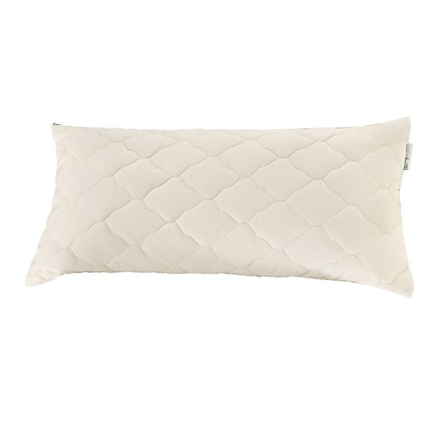 OBB Daunenkissen OBB Bio Hanfkissen Hanne günstig online kaufen