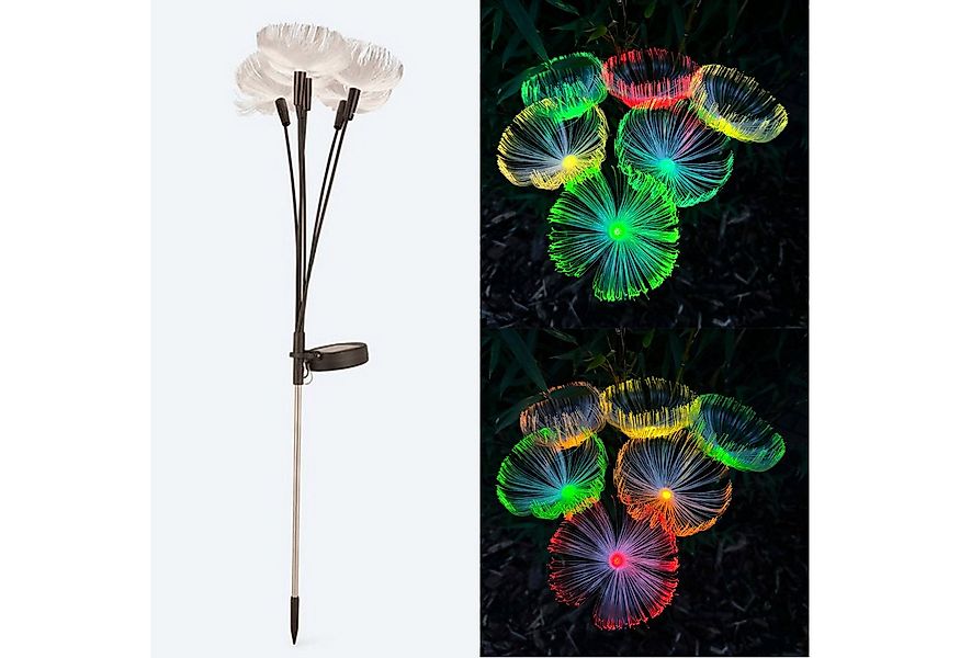 Online-Fuchs Gartenstecker PUSTEBLUME mit LED Solar Beleuchtung - Solarleuc günstig online kaufen