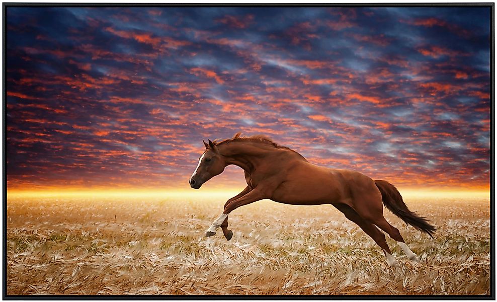 Papermoon Infrarotheizung »Laufendes Pferd«, sehr angenehme Strahlungswärme günstig online kaufen