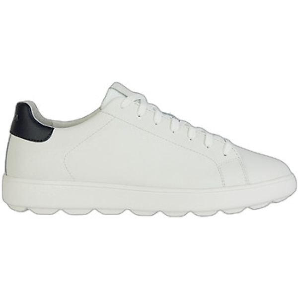 Geox  Sneaker Baskets  Spherica günstig online kaufen