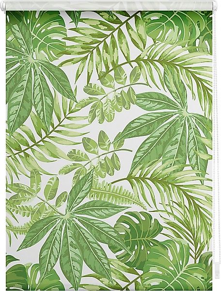 Seitenzugrollo Rollo Klemmfix, ohne Bohren, blickdicht, Blätter - Grün, LIC günstig online kaufen