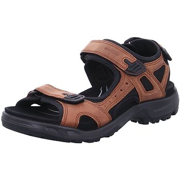 Ecco  Herrenschuhe Offene Offroad Plus Sandale sierra 822184 82218402671 günstig online kaufen