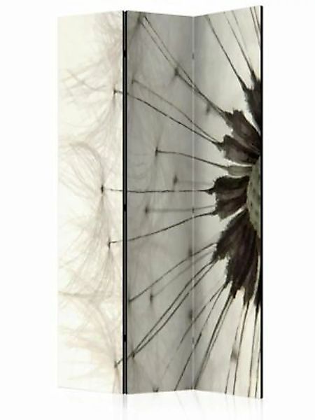 artgeist Paravent White Dandelion [Room Dividers] creme/grau Gr. 135 x 172 günstig online kaufen