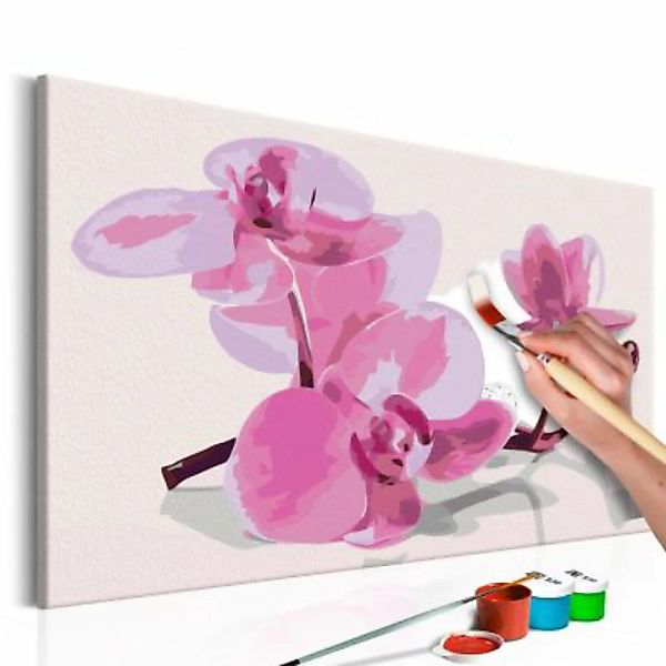artgeist Malen nach Zahlen Orchideenblüten mehrfarbig Gr. 60 x 40 günstig online kaufen