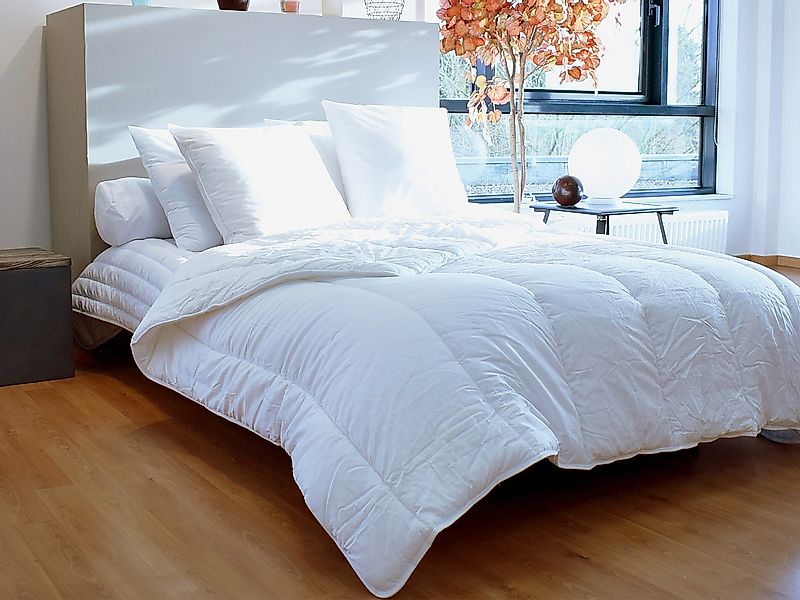 Kopfkissen milbenabweisend - 550 gr - 60 x 60 cm - Bauwolle - Weiß - AZYLIA günstig online kaufen