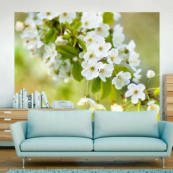 artgeist Fototapete Zweig mit weißen Kirschblüten mehrfarbig Gr. 350 x 270 günstig online kaufen