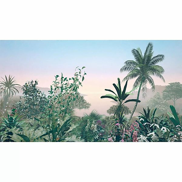 Komar Fototapete Vlies Matin  500 x 280 cm günstig online kaufen