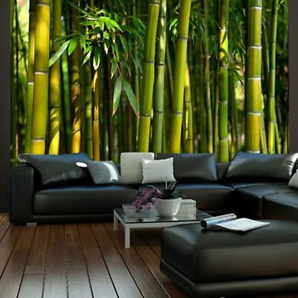 artgeist Fototapete Asiatischer Bambuswald grün Gr. 350 x 270 günstig online kaufen