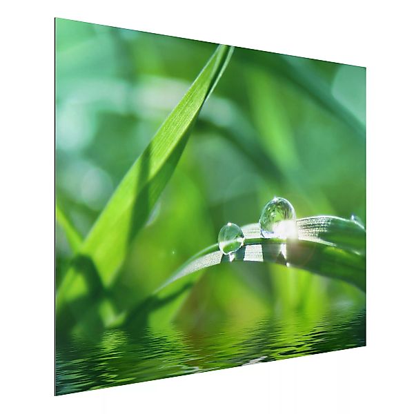 Alu-Dibond Bild Blumen - Querformat 4:3 Green Ambiance II günstig online kaufen