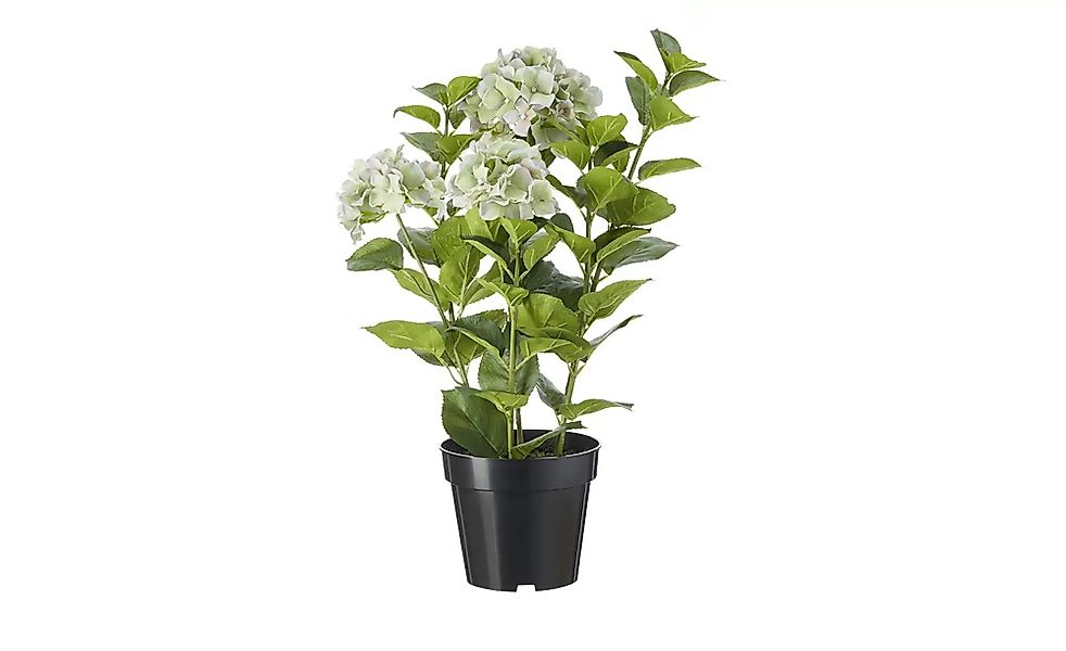 Hortensie getopft   ¦ lila/violett ¦ Kunststoff ¦ Maße (cm): H: 85 Accessoi günstig online kaufen