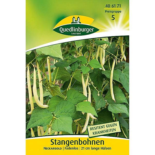 Quedlinburger Stangenbohnen ''Neckargold'' günstig online kaufen