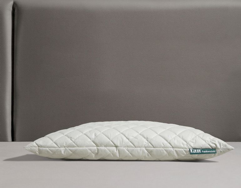 fan Naturfaserkissen "Kamelhaar" Füllung: 97Wolle3sonstigeFasern 1 Stk. tlg günstig online kaufen