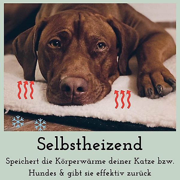 riijk Tierdecke Heizdecke, Plüsch, selbstheizende Hundedecke günstig online kaufen