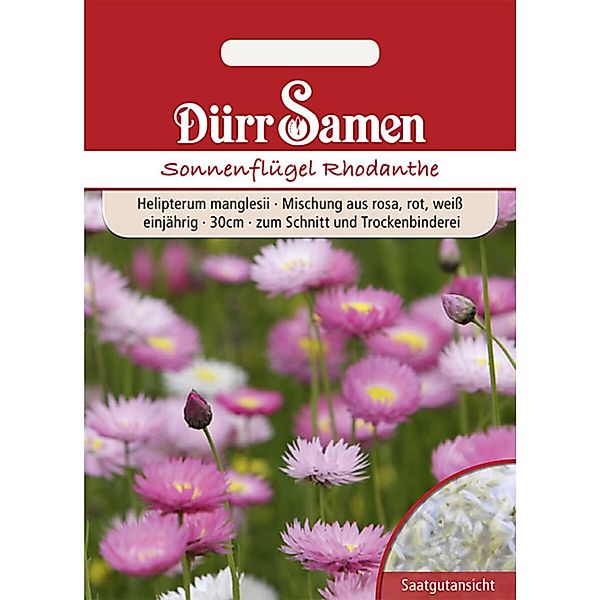 Dürr Samen Sonnenflügel Einjährig Saatgut günstig online kaufen