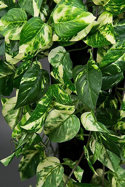 Kunstranke Photosranke grün-gelb PM Pflanzen Ranken Kunstrpflanzen künstlic günstig online kaufen