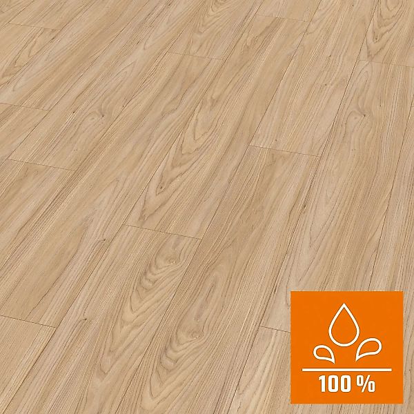 Egger AquaClick it Laminat 8 mm Wasserfest Akazie Shefflield Natur günstig online kaufen
