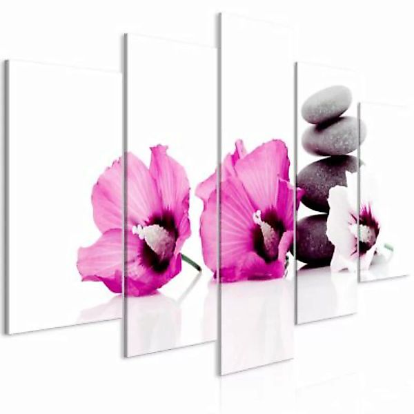 artgeist Wandbild Calm Mallow (5 Parts) Wide Pink mehrfarbig Gr. 200 x 100 günstig online kaufen