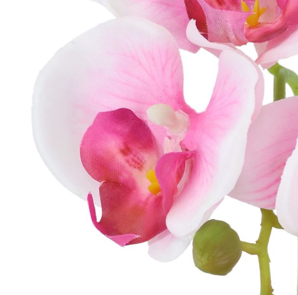 Kunstorchidee Orchidee im Topf 2er Set, günstig online kaufen
