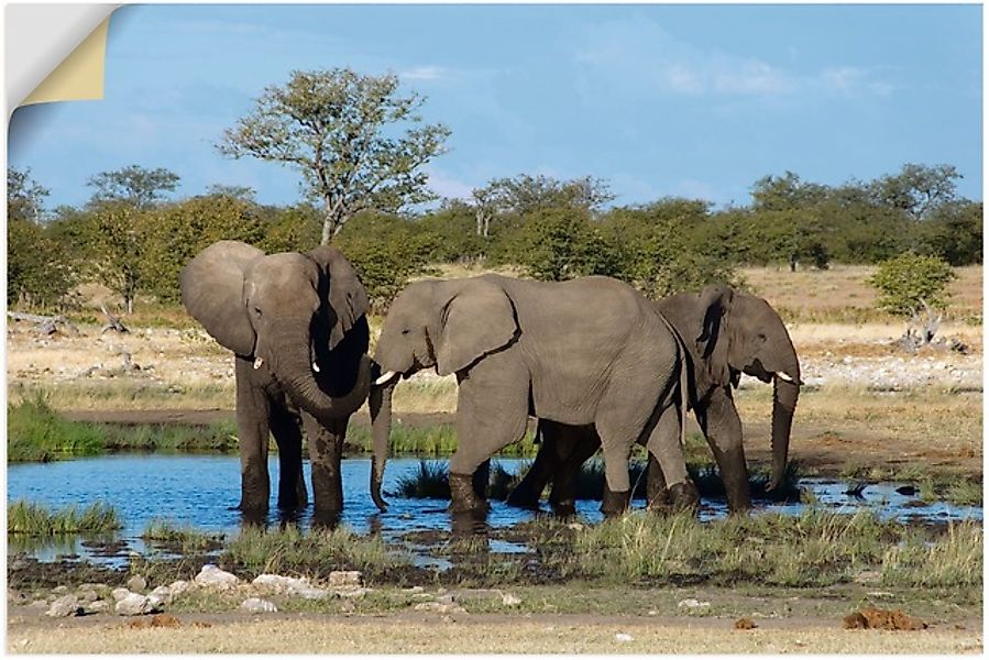 Artland Wandbild »Afrikanischer Elefant EtoshaNationalpark«, Elefanten Bild günstig online kaufen