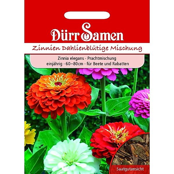 Dürr Samen Zinnien Dahlienblütige Prachtmischung Einjährig Saatgut günstig online kaufen