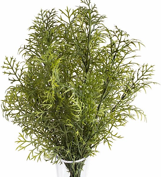 Botanic-Haus Künstliche Zimmerpflanze "Wildkräuterbusch" günstig online kaufen