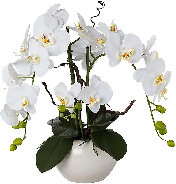 Kunstorchidee Phalaenopsis, Creativ green, Höhe 55 günstig online kaufen