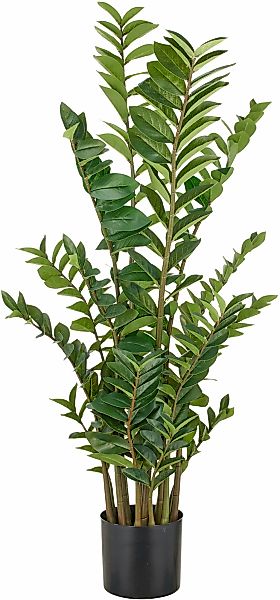 Creativ green Kunstpflanze "Zamifolia", mit detailgetreuer Gestaltung günstig online kaufen