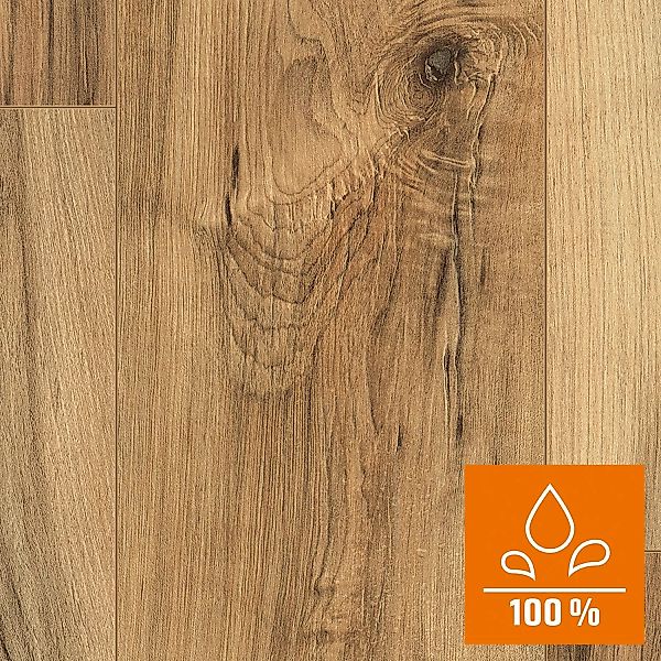 EGGER Laminat Aqua+ EHL075 Perganti Nussbaum günstig online kaufen