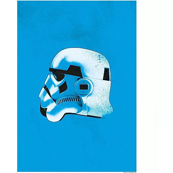 Komar Wandbild Star Wars Stormtroopers 30 x 40 cm günstig online kaufen