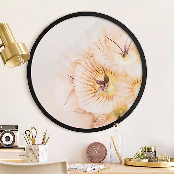Rundes Gerahmtes Bild Pastellfarbener Blütenstrauß günstig online kaufen