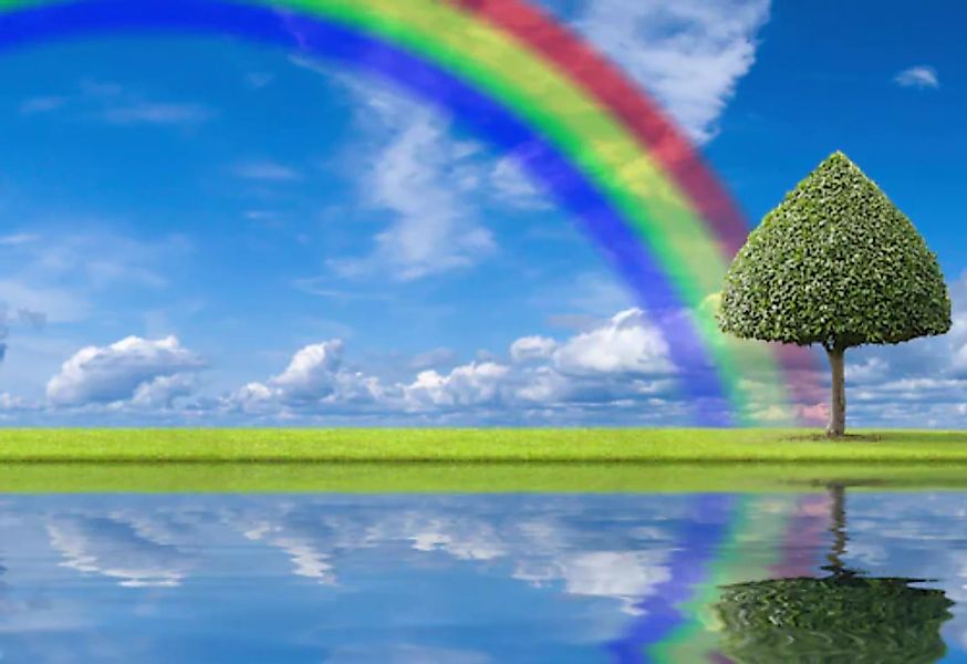 Papermoon Fototapete »regenbogen Wiese« günstig online kaufen
