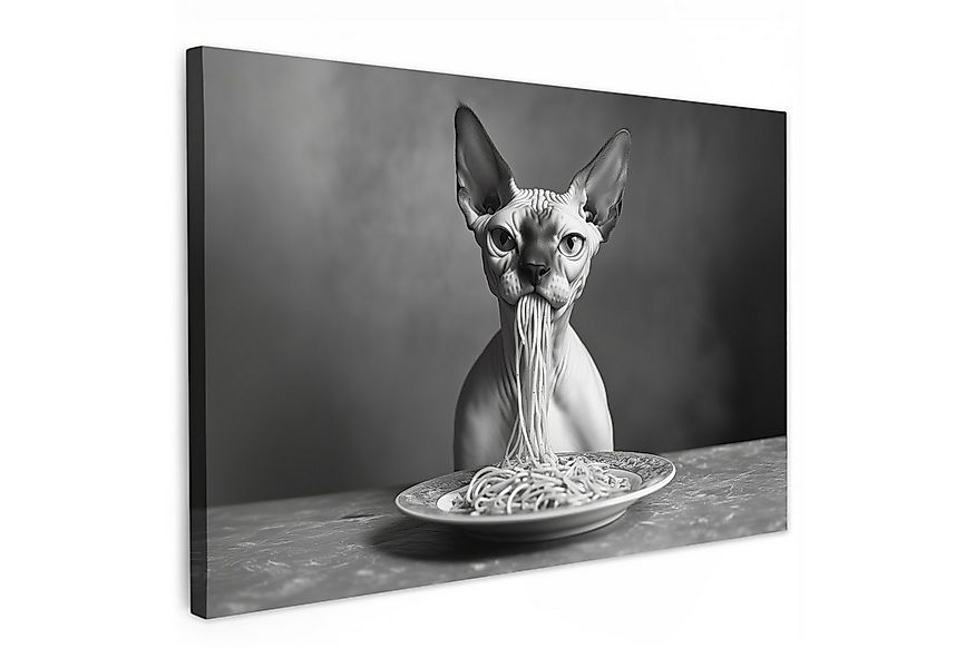 OneMillionCanvasses® Leinwandbild Sphynx - Katze - Tiere - Humor - Spaghett günstig online kaufen