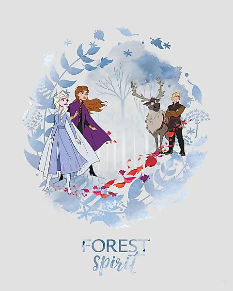 Komar Wandbild Frozen Spirit 40 x 50 cm günstig online kaufen