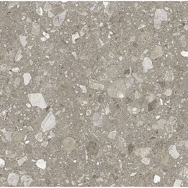 Bodenfliese Feinsteinzeug Taupe 60 cm x 60 cm günstig online kaufen