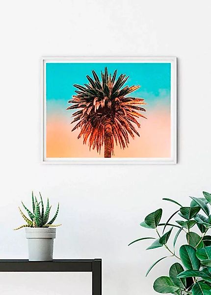 Komar Poster "Palm Tree", Pflanzen-Blätter, (1 St.) günstig online kaufen
