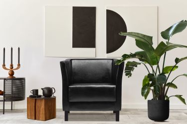 KONSIMO® Sessel ESPECTO Sessel, hohe Massivholzbeine günstig online kaufen