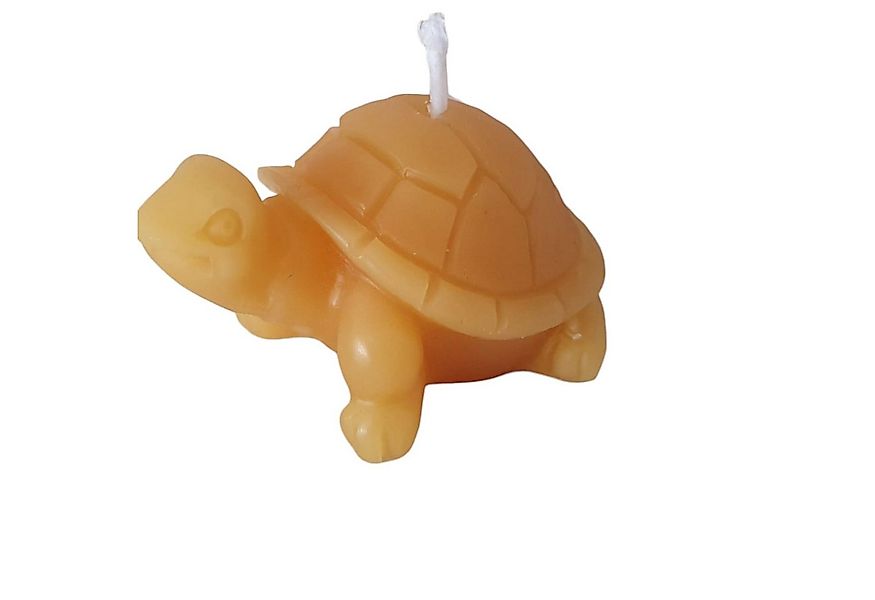 Aspinaworld Formkerze Kleine Schildkröten Kerze 2 cm - Bienenwachs Schildkr günstig online kaufen