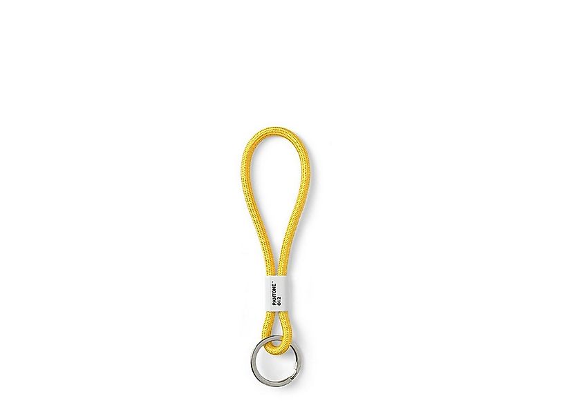 PANTONE Schlüsselanhänger, Design- Schlüsselband, Key Chain, kurz günstig online kaufen