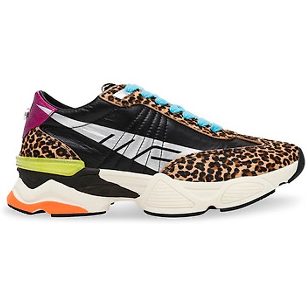 Steve Madden  Sneaker Baskets femme  Setback günstig online kaufen