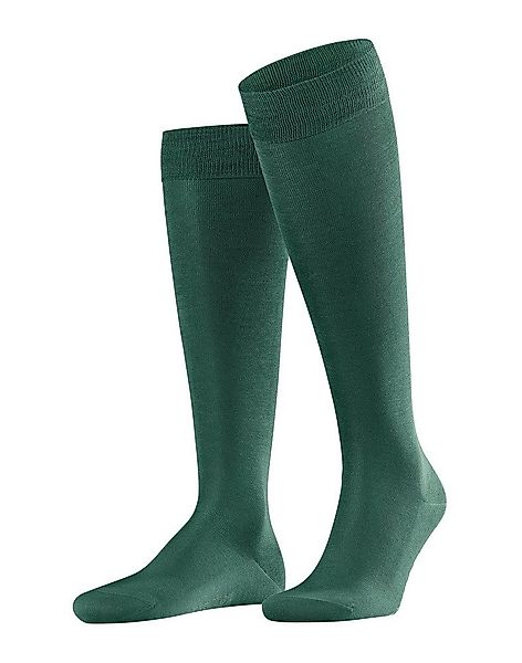 FALKE Socken Tagessocke Tiago (Komfort im günstig online kaufen