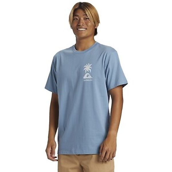 Quiksilver  T-Shirt - günstig online kaufen