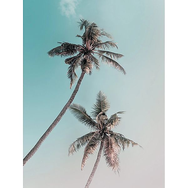 Komar Wandbild Miami Palms 30 x 40 cm günstig online kaufen