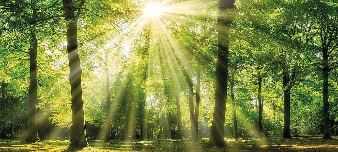 Bönninghoff Leinwandbild "Sonnenstrahl" 1 Stk. tlg. günstig online kaufen