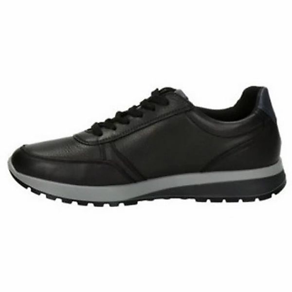 Ara  Sneaker Freizeit Schnürer für Herren in mehrfarbig günstig online kaufen