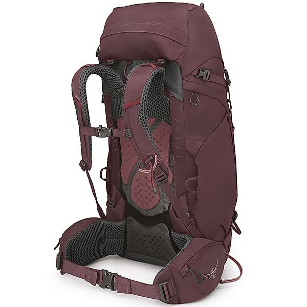 Osprey Kyte 48 Elderberry Purple WXS/S günstig online kaufen
