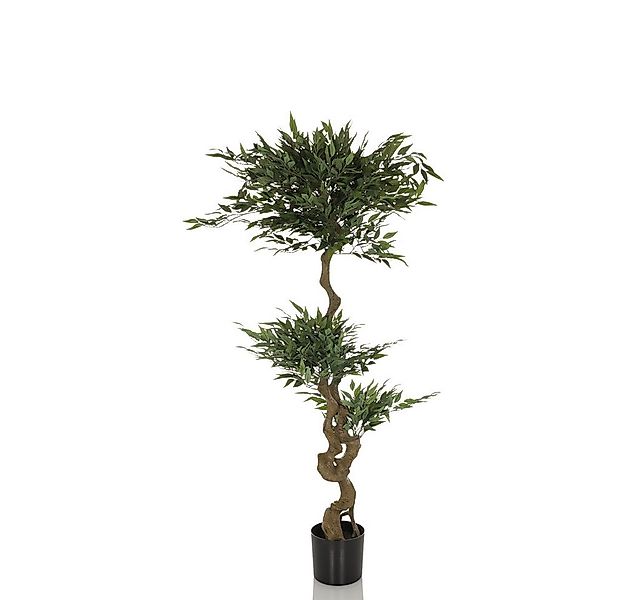 Kunstpflanze Kunstpflanze ACACIA Kunststoff, Stoff Strahlenaralie, hjh OFFI günstig online kaufen