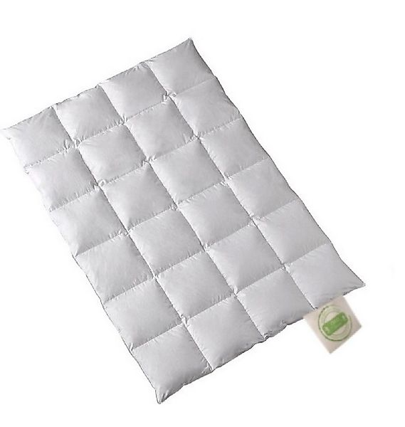 Öko Daune Daunenbettdecke Eco Daune Ganzjahresdecke Daune nachhaltig, Füllu günstig online kaufen