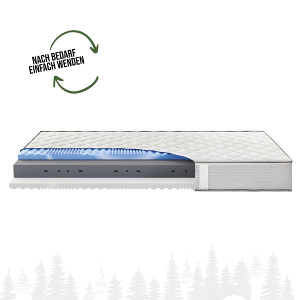 Kaltschaummatratze Schwarzwaldmarie Hanna - mit Kaltschaum günstig online kaufen