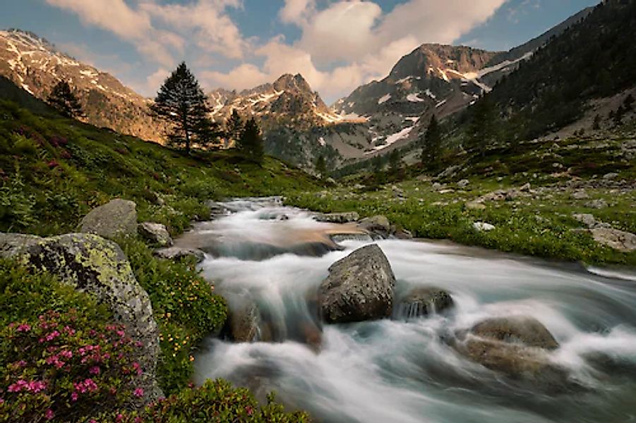 Papermoon Fototapete »Photo-Art PAOLO BOLLA, MARITIME ALPEN PARK« günstig online kaufen